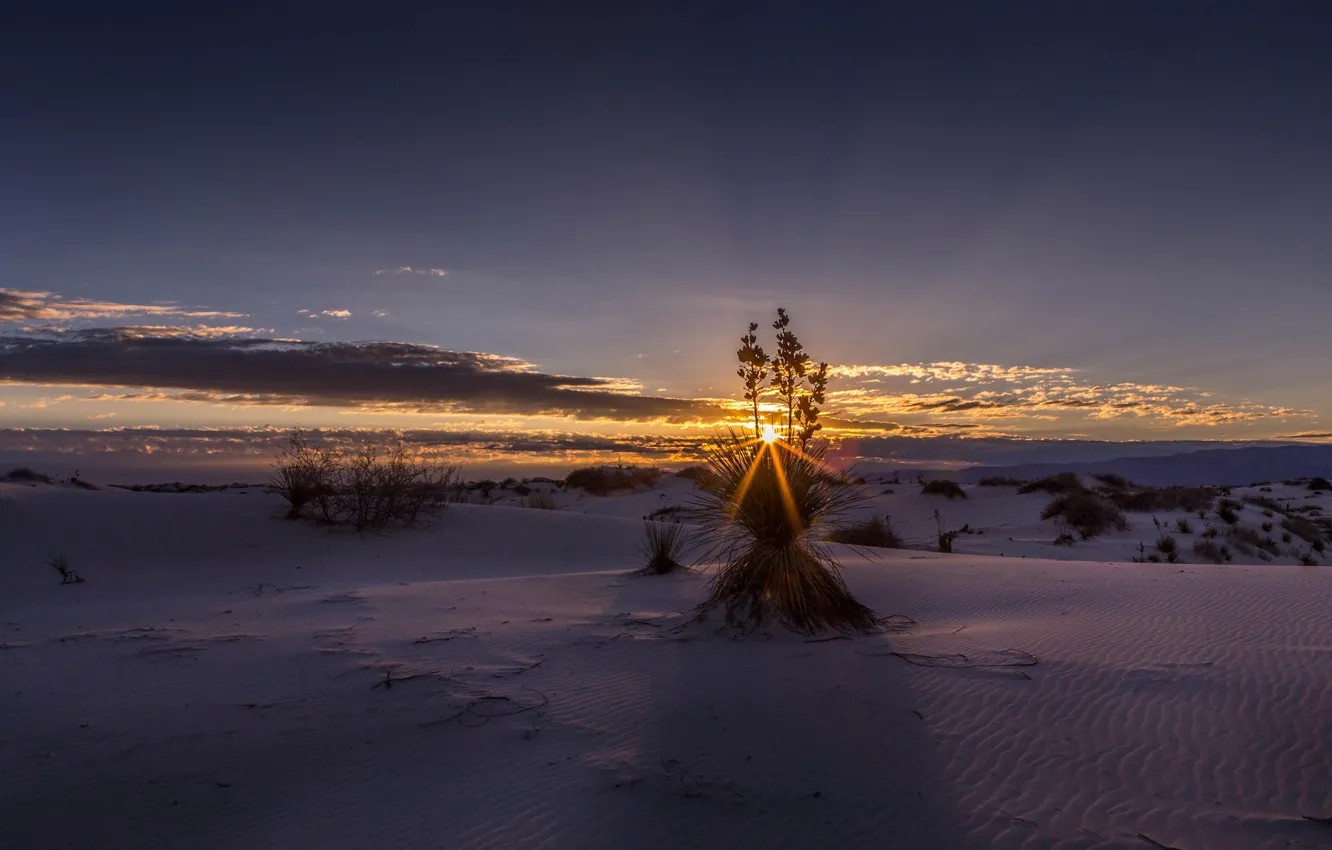 Photo wallpaper the sky, clouds, sunset, desert, USA, New Mexico, White Sands