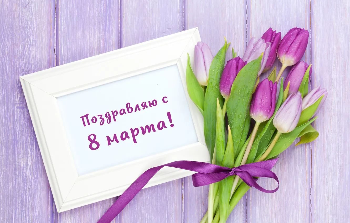 Photo wallpaper flowers, bouquet, tulips, March 8, flowers, tulips, spring, purple
