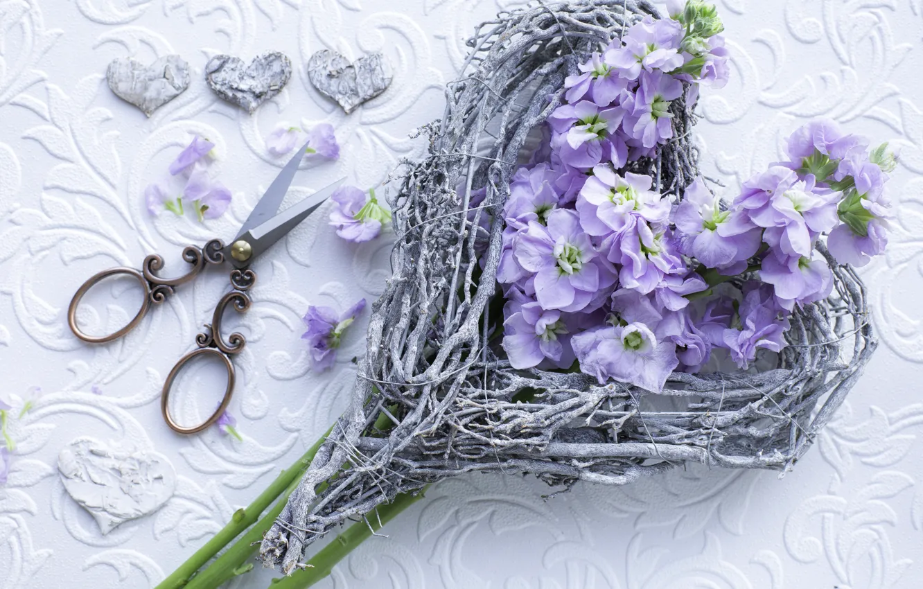 Photo wallpaper flowers, composition, gillyflower