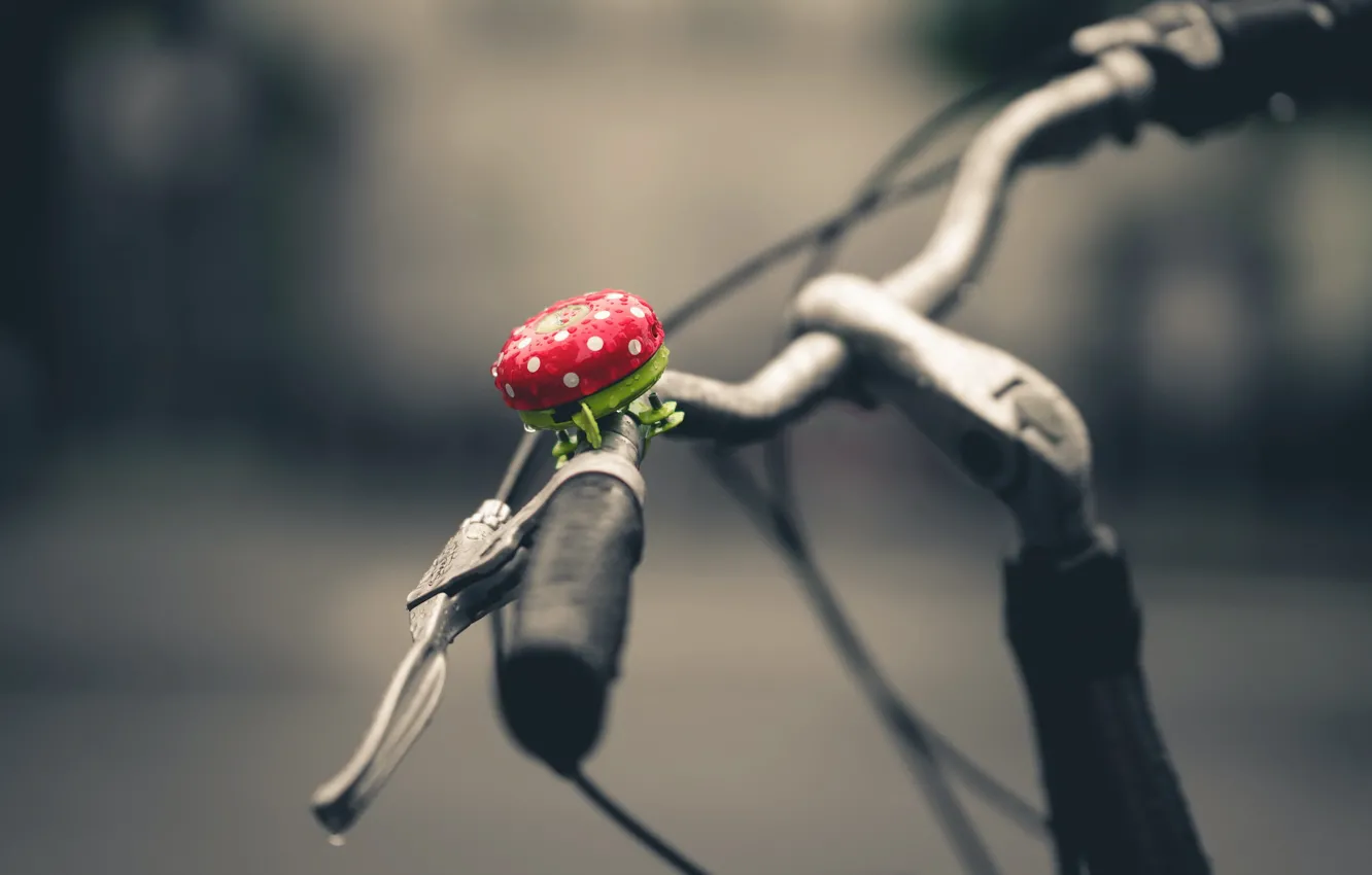 Photo wallpaper bike, the wheel, call