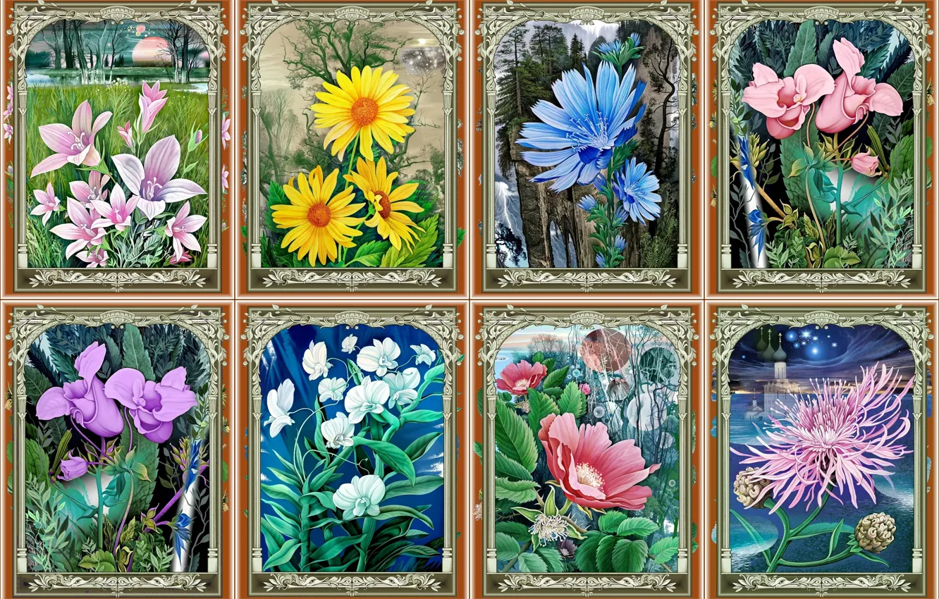 Photo wallpaper flowers, seasons, painting, orchids, collage of paintings, artist Konstantin Avdeev, spring-summer-autumn-winter, bluebells-daisies-chicory-rosehip-chrysanthemum
