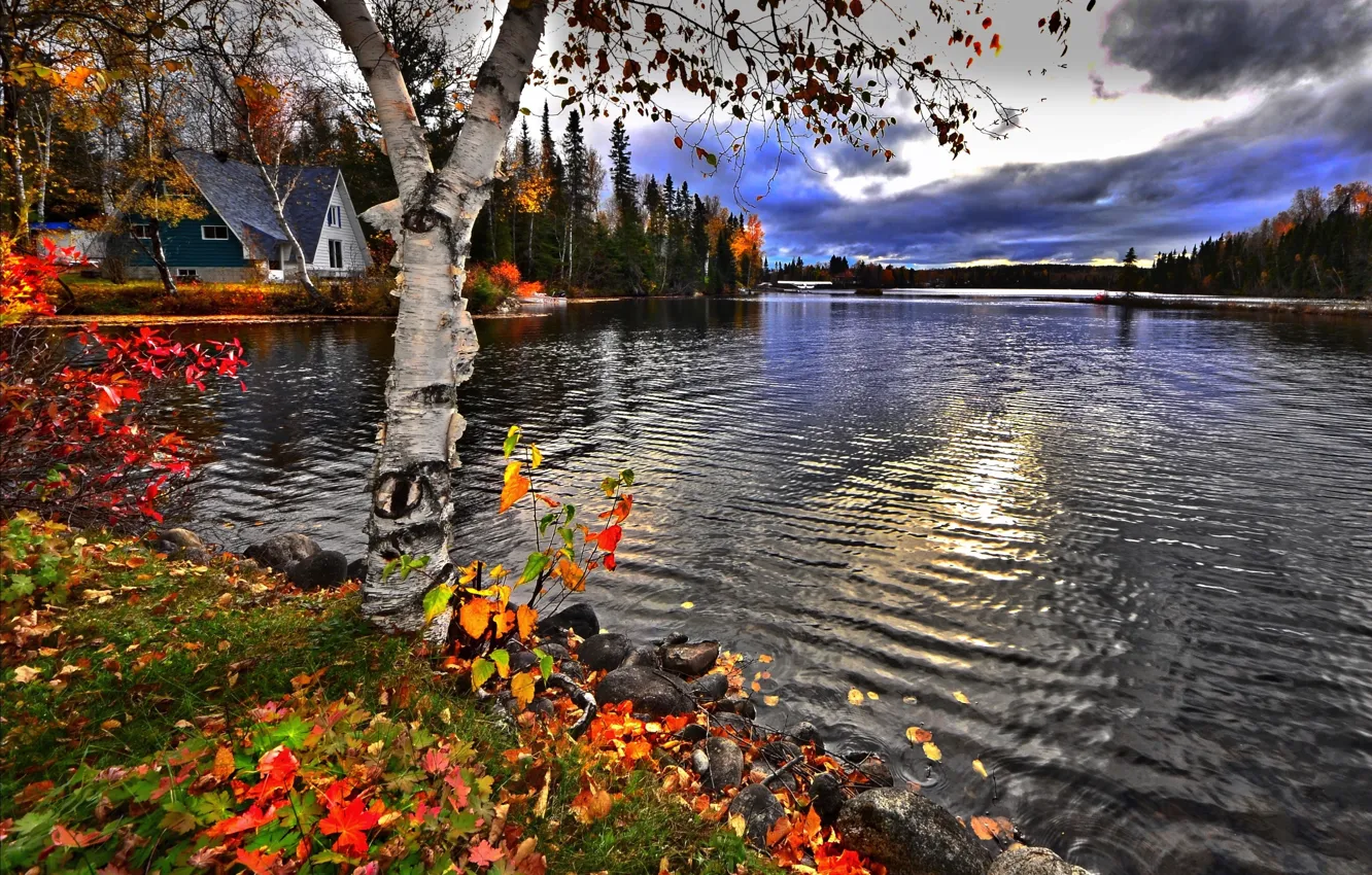 Photo wallpaper autumn, forest, landscape, clouds, nature, lake, house, stones