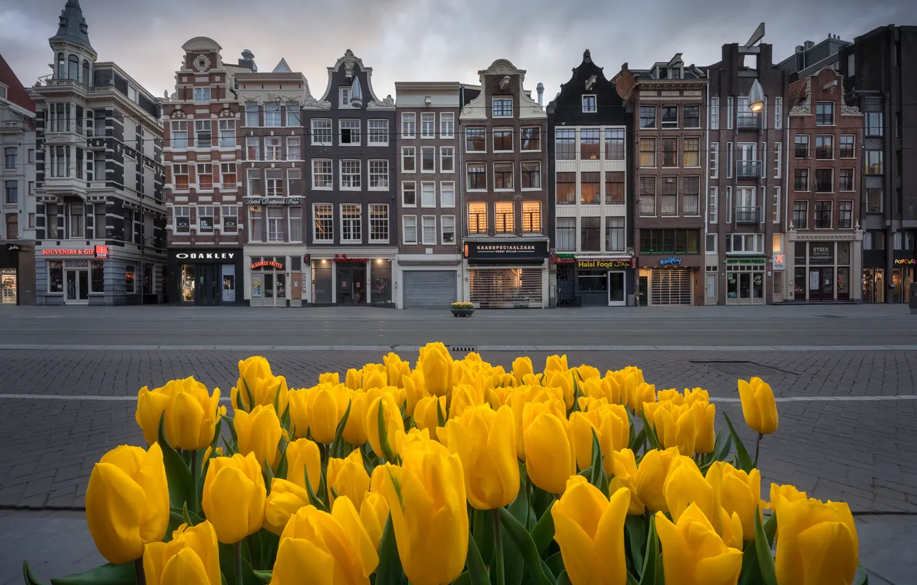 Photo wallpaper flowers, building, home, area, Amsterdam, Netherlands, Amsterdam, Netherlands