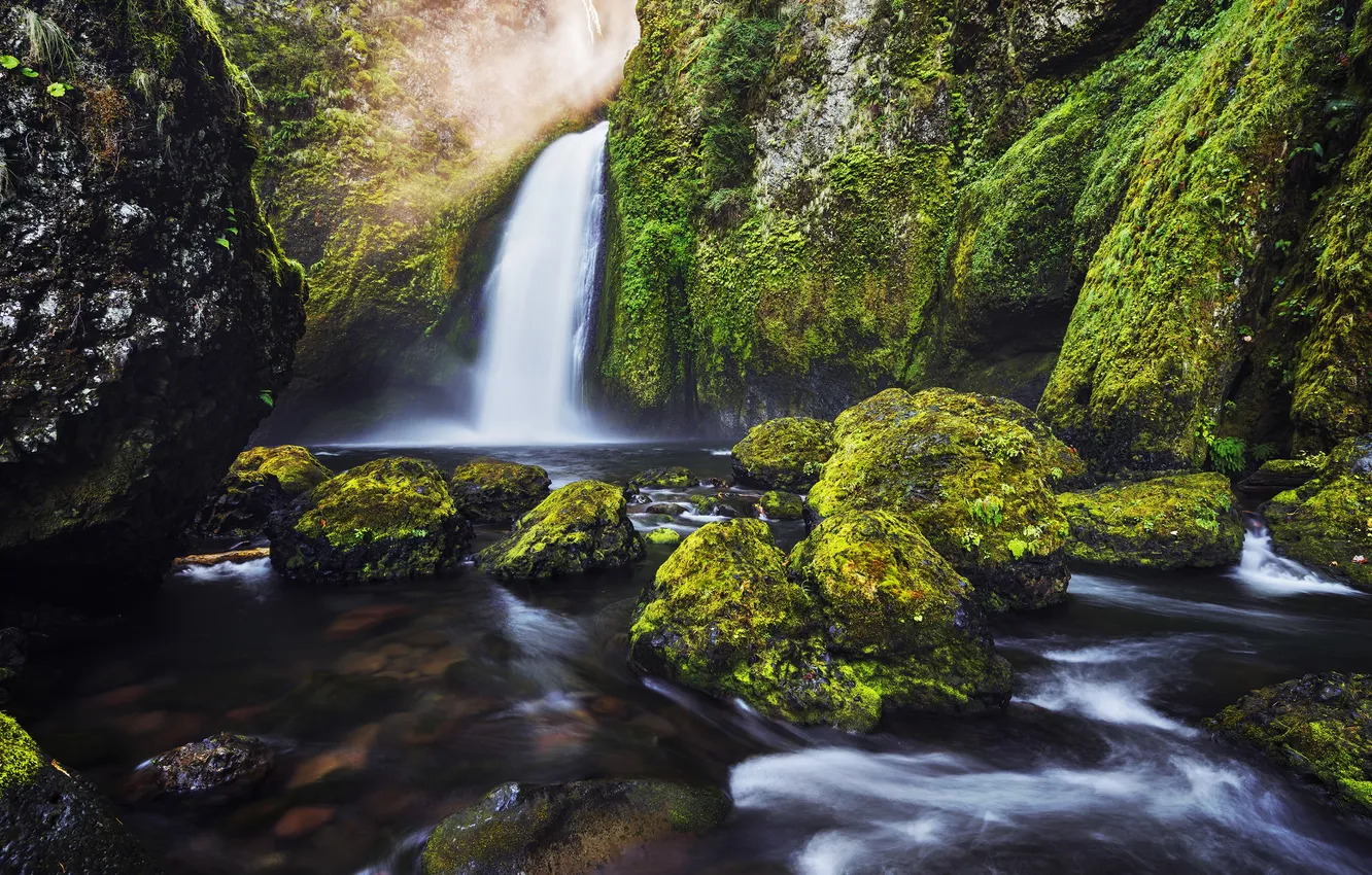 Photo wallpaper stones, drop, mucus