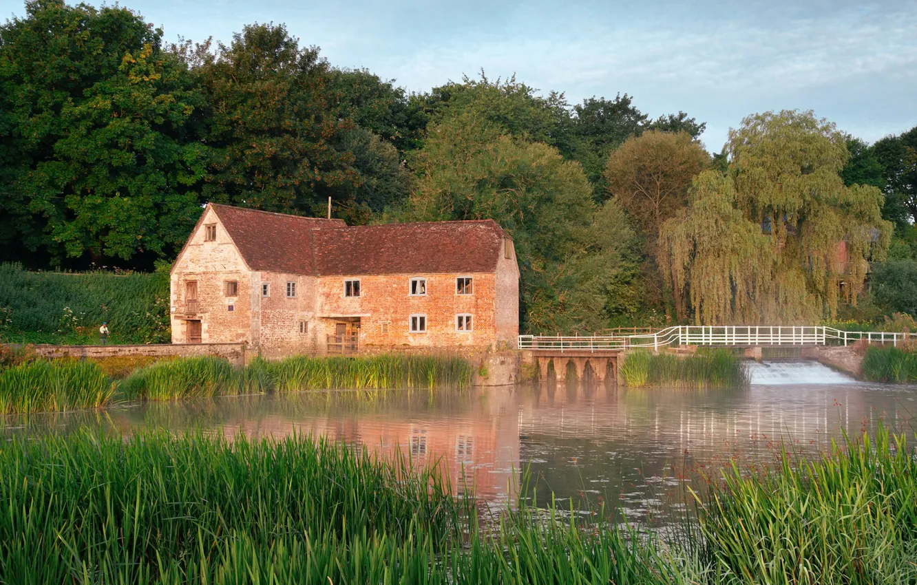 Photo wallpaper forest, summer, grass, pond, shore, building, home, the bridge