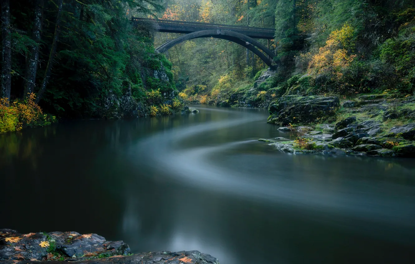 Photo wallpaper autumn, forest, bridge, river, Washington, river Lewis, Lewis River, Washington State
