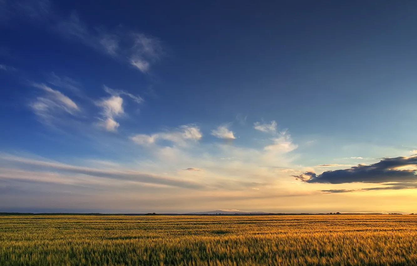 Photo wallpaper the sky, clouds, Field, 158