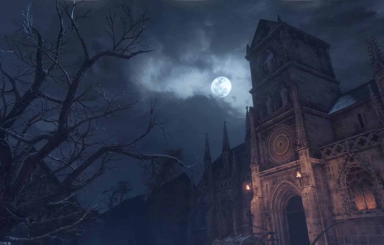 Photo wallpaper trees, night, the moon, University, a plague tale: innocence