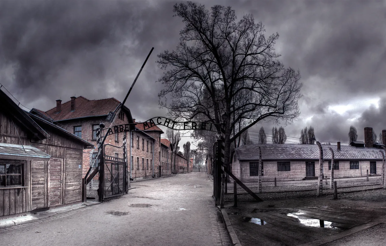 Photo wallpaper Noir, Auschwitz, Auschwitz, work makes you free
