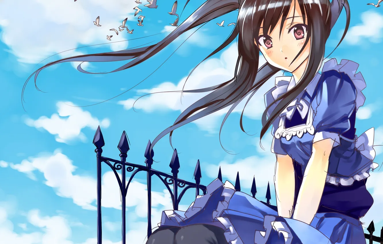 Photo wallpaper the sky, girl, clouds, flowers, bird, anime, art, matsui hiroaki