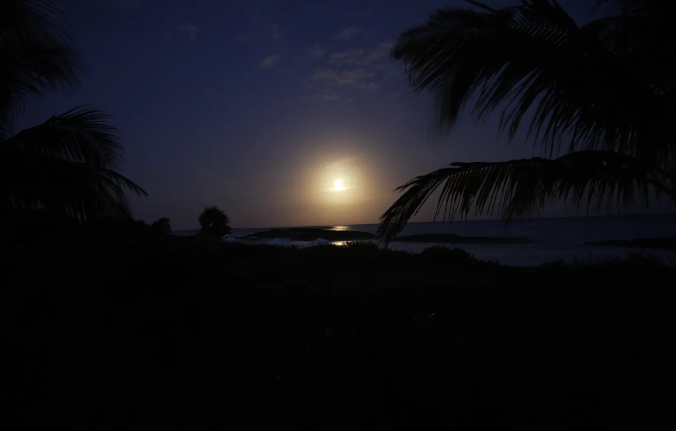 Photo wallpaper the sky, landscape, palm trees, island, silhouette, the o