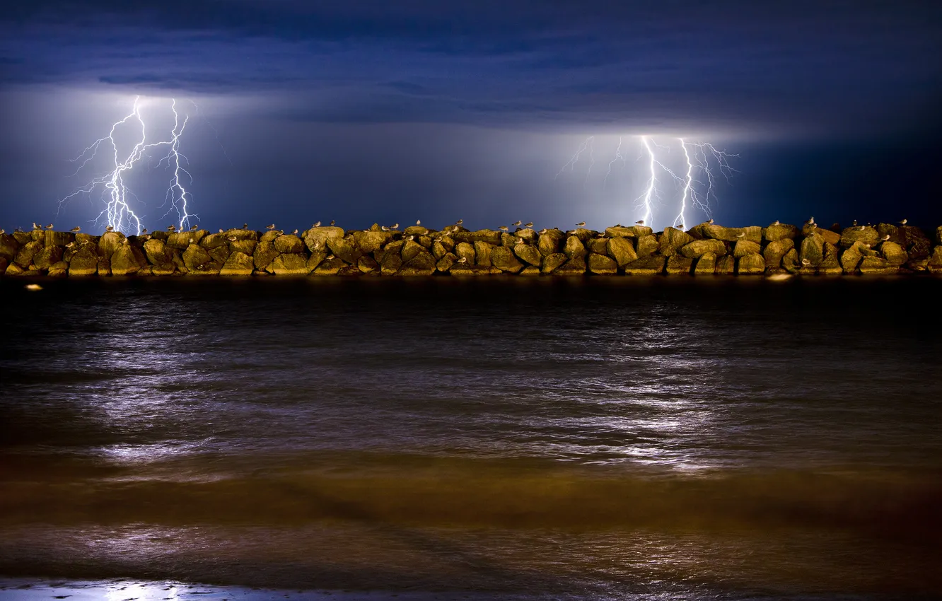 Photo wallpaper sea, the sky, night, nature, lightning, seagulls