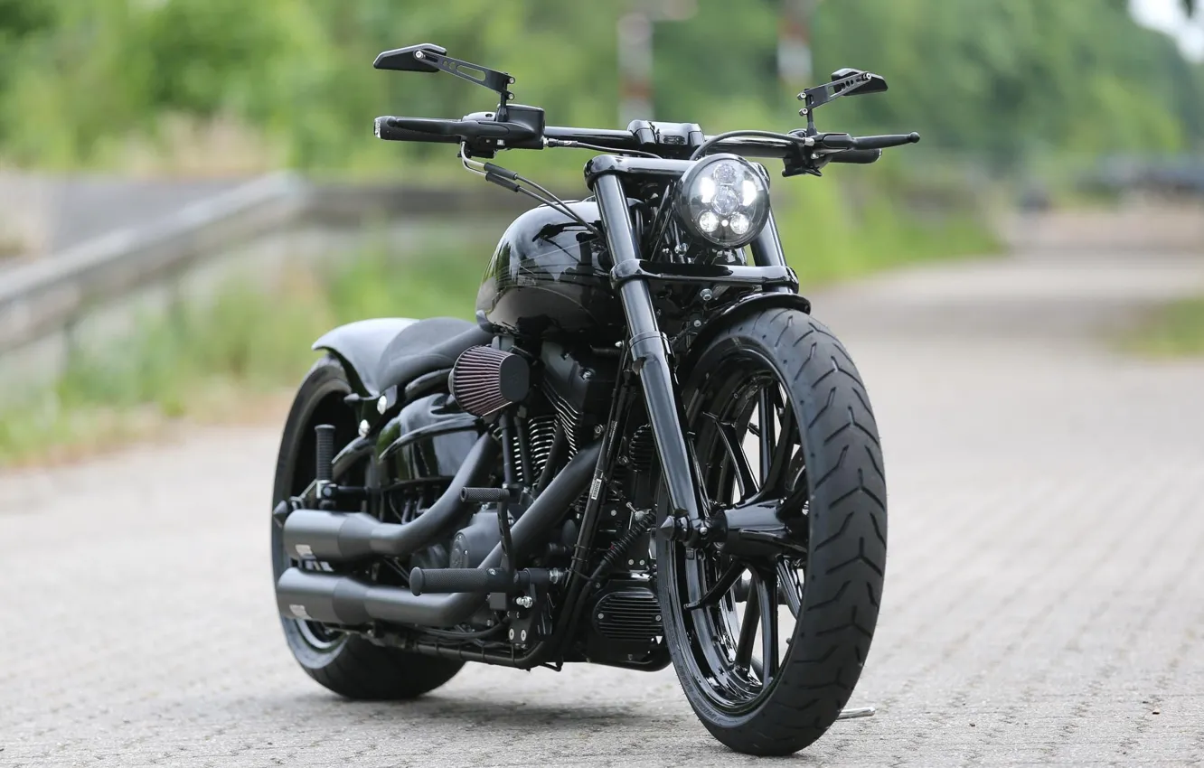Photo wallpaper Bike, Harley-Davidson, Custom, Thunderbike