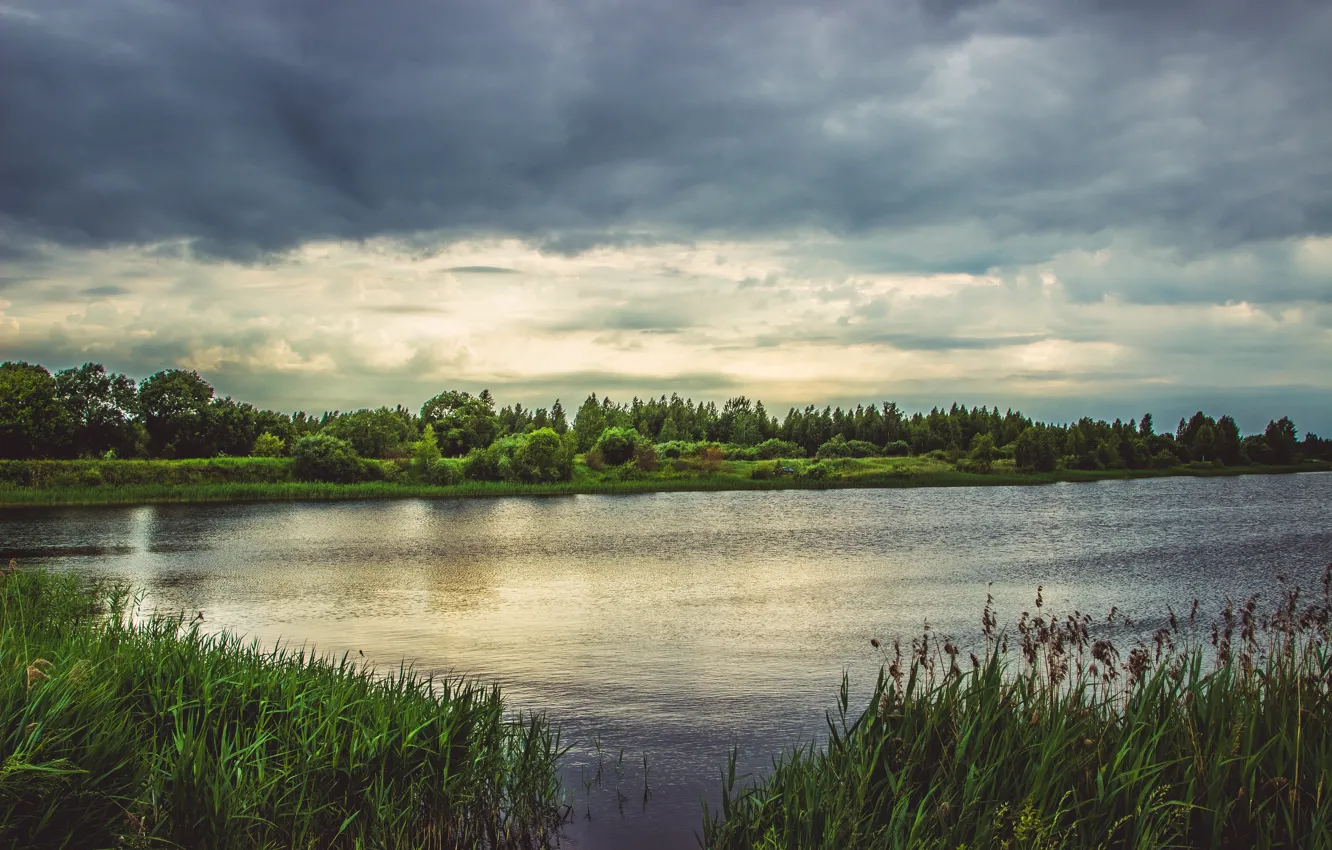 Photo wallpaper forest, the sky, landscape, nature, lake, photo, picture, photographer