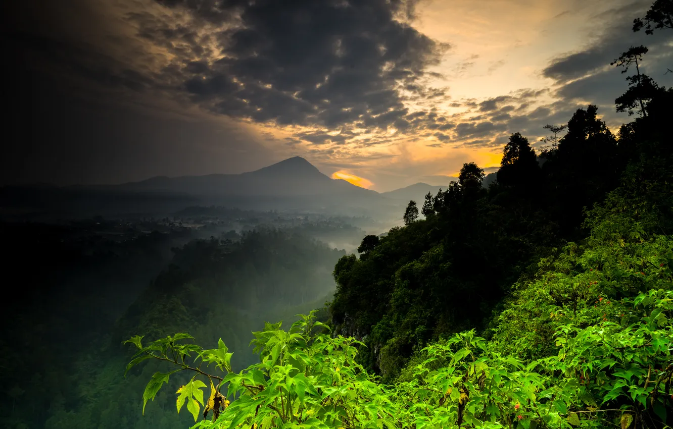 Photo wallpaper forest, the sky, clouds, trees, landscape, sunset, mountains, nature