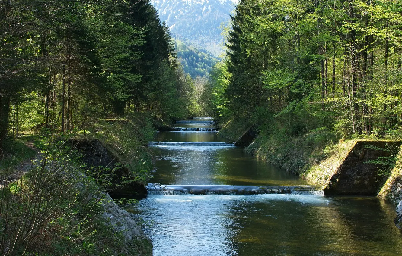 Photo wallpaper forest, summer, water, mountains, river, thresholds