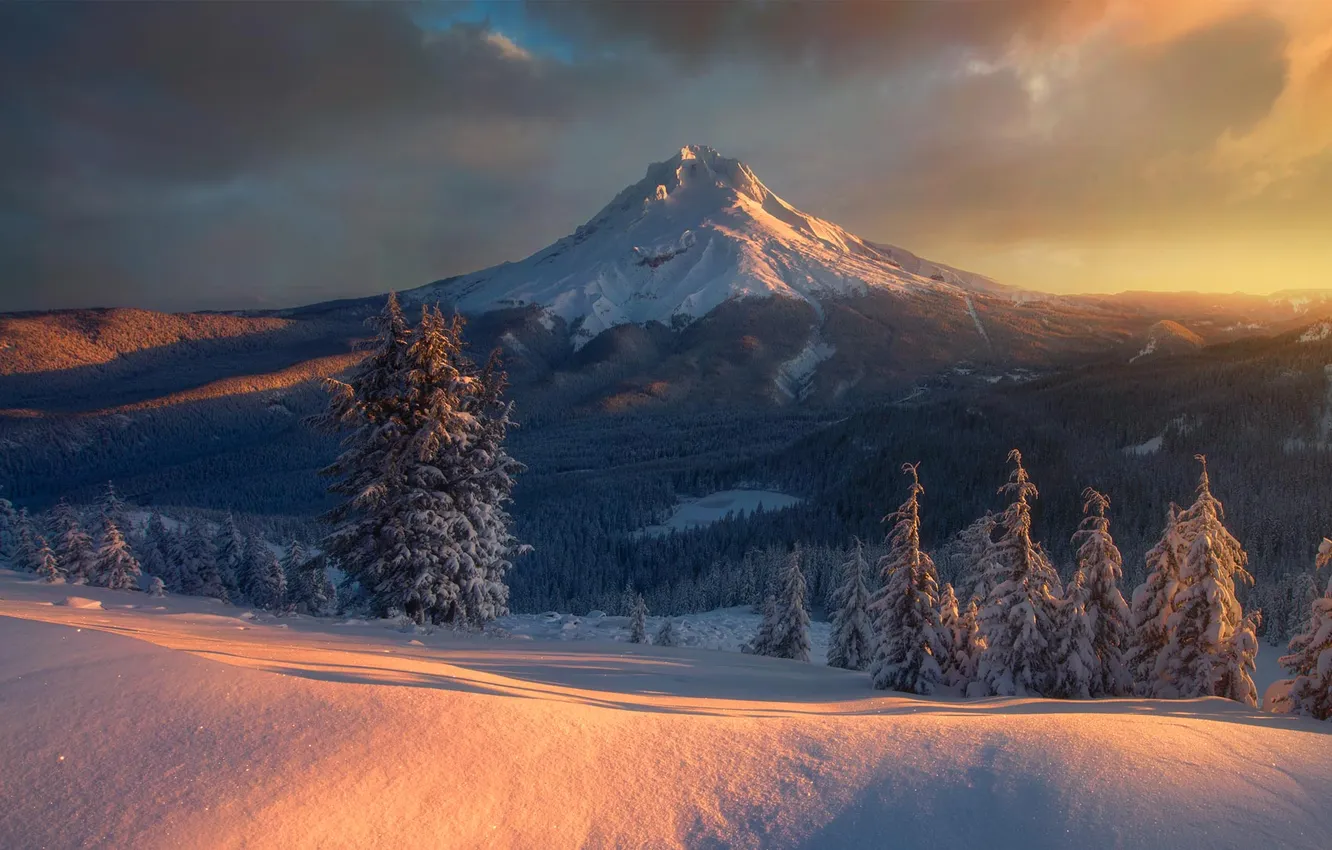 Photo wallpaper forest, sky, trees, landscape, nature, mountains, clouds, snow