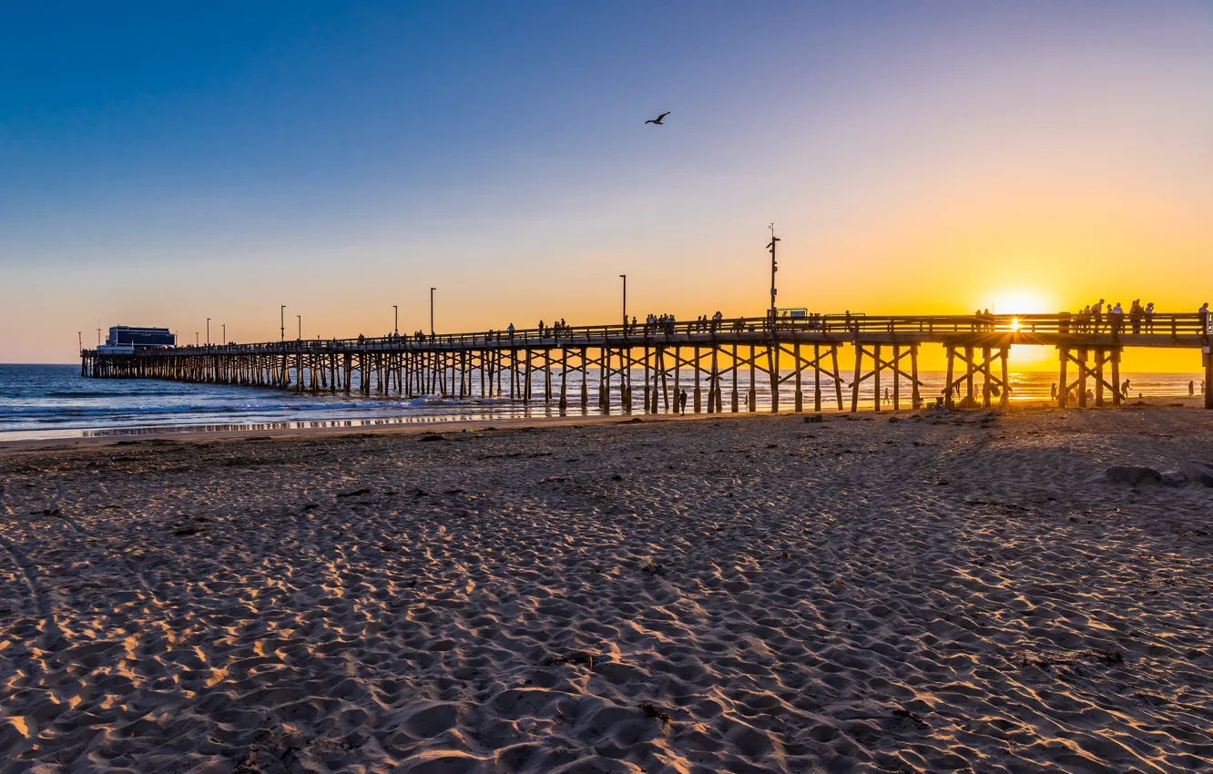 Photo wallpaper sand, sea, beach, the sky, the sun, sunset, bird, coast