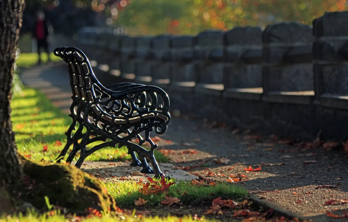 Photo wallpaper autumn, Park, bench