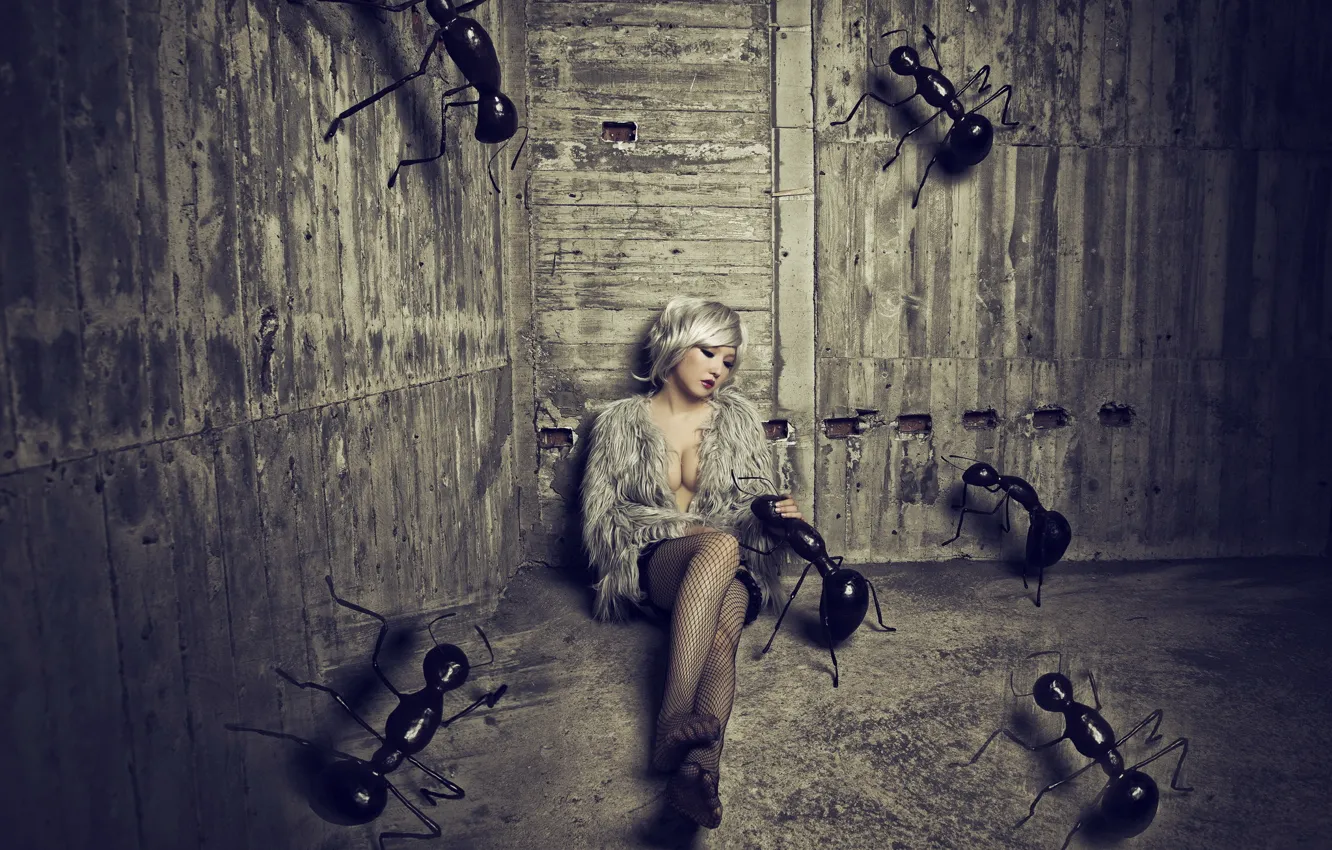 Photo wallpaper girl, the situation, ants