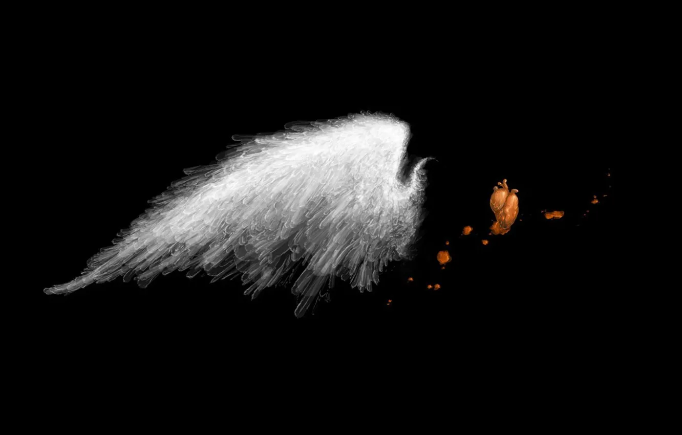 Photo wallpaper night, fantasy, wing