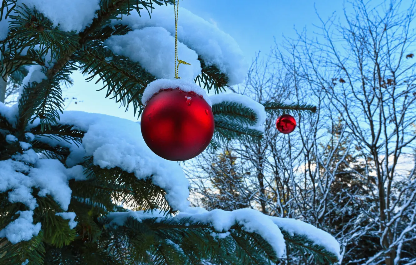 Photo wallpaper winter, forest, balls, snow, trees, branches, red, nature