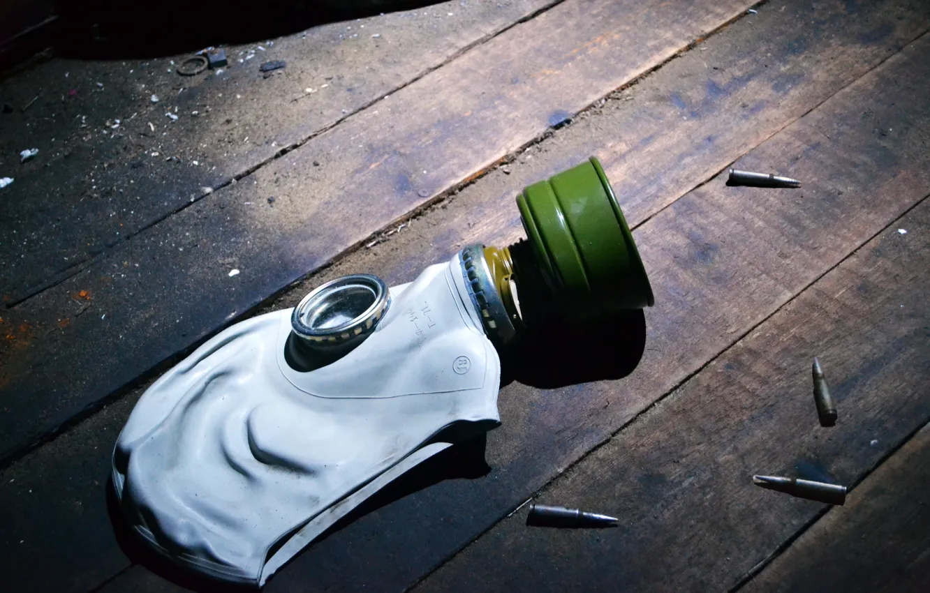 Photo wallpaper trees, gas mask, bullets, Stalker, cartridges, Stalker, filter, S. T. A. L. K. E. R.