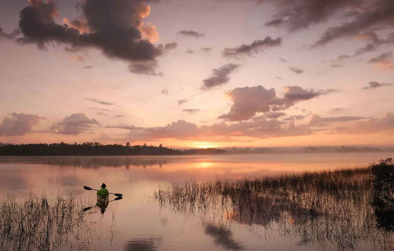 Photo wallpaper forest, fog, river, morning