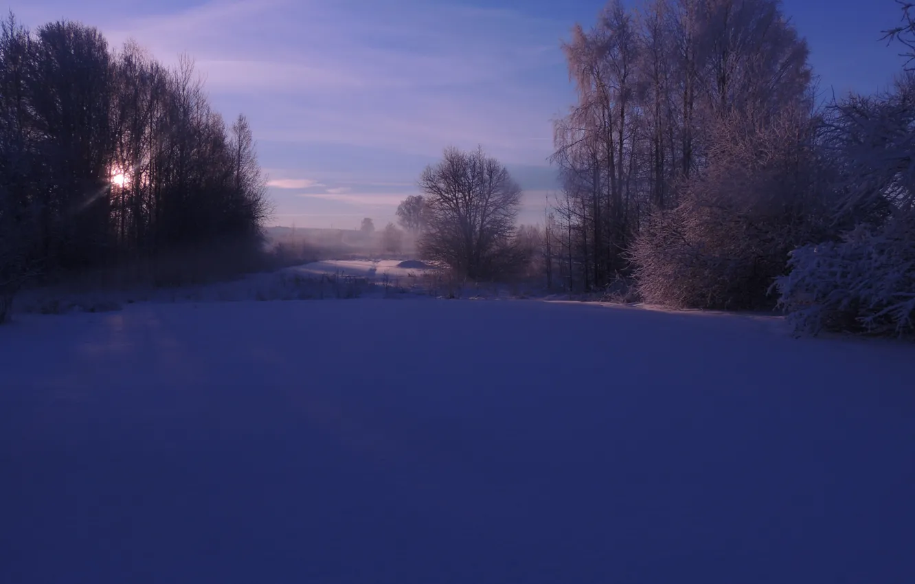 Photo wallpaper winter, the sun, frost