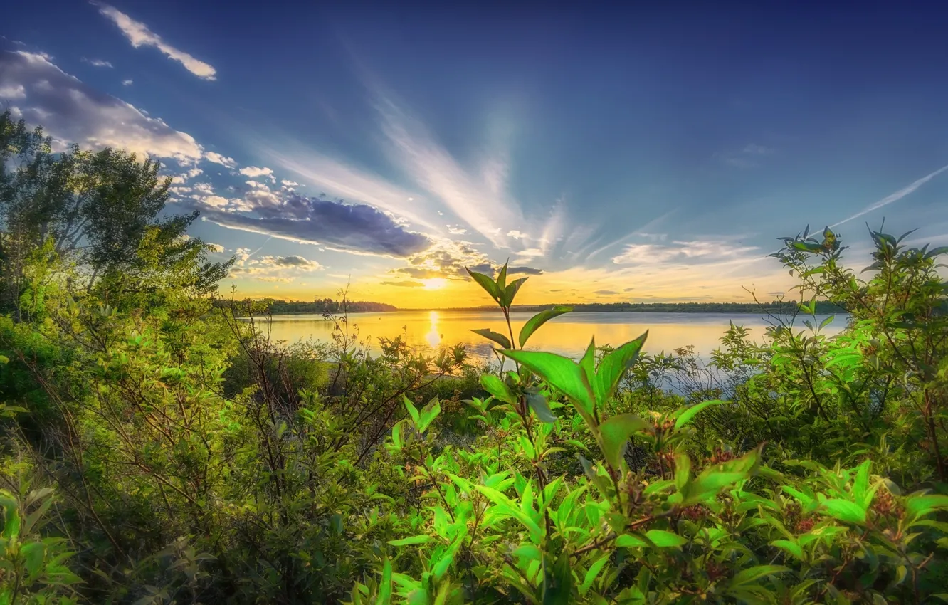 Photo wallpaper sunset, lake, Canada, Albert, Alberta, Canada, the bushes