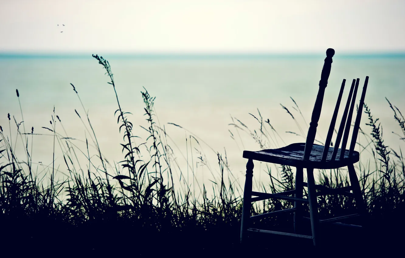 Photo wallpaper sea, grass, bird, horizon, chair