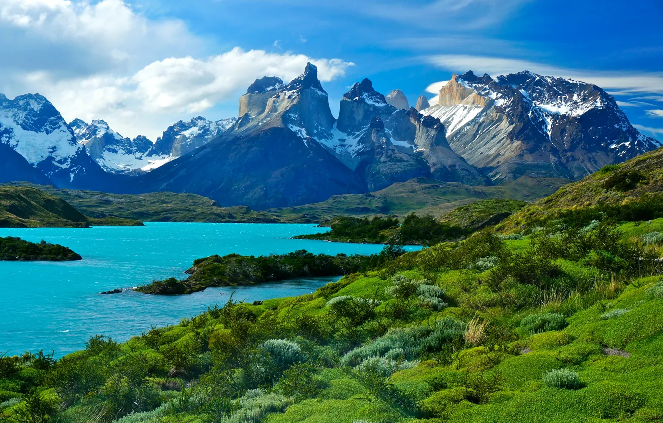 Photo wallpaper grass, mountains, lake, shore, Chile, Patagonia, Pehoe Lake