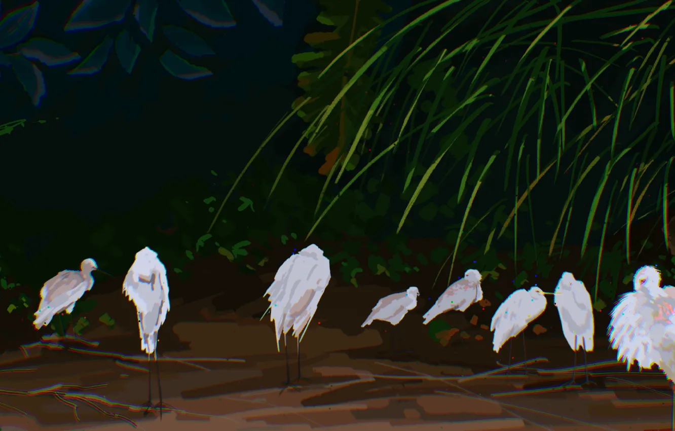 Photo wallpaper nature, stork, Fangpeii