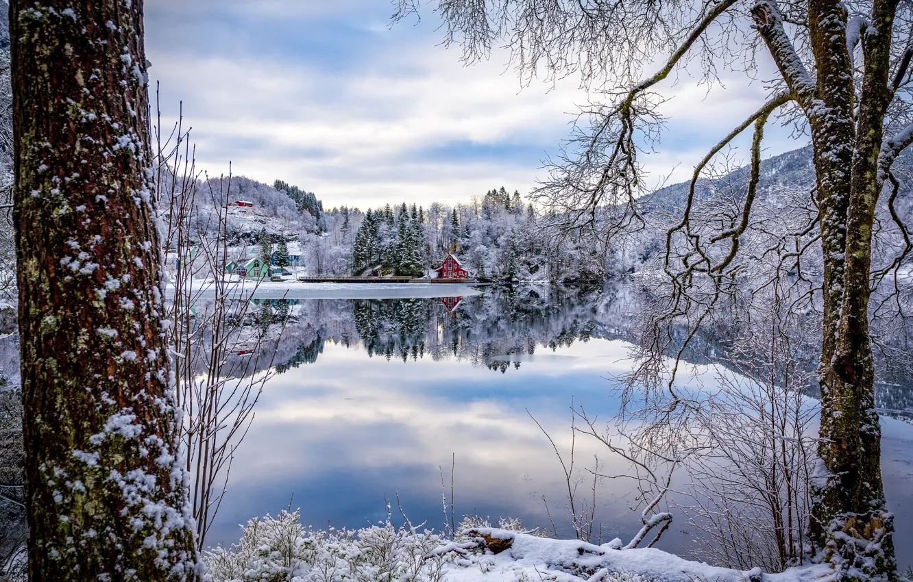 Photo wallpaper winter, trees, reflection, village, Norway, houses, Norway, the fjord