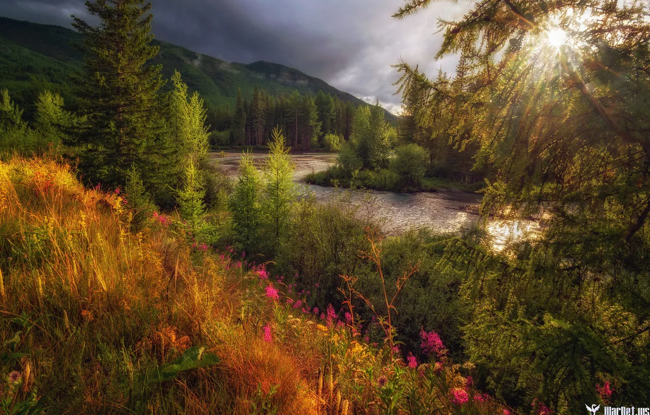 Photo wallpaper summer, the evening, The Altai Mountains, after the storm, Laura Pavlova, The Tyun River