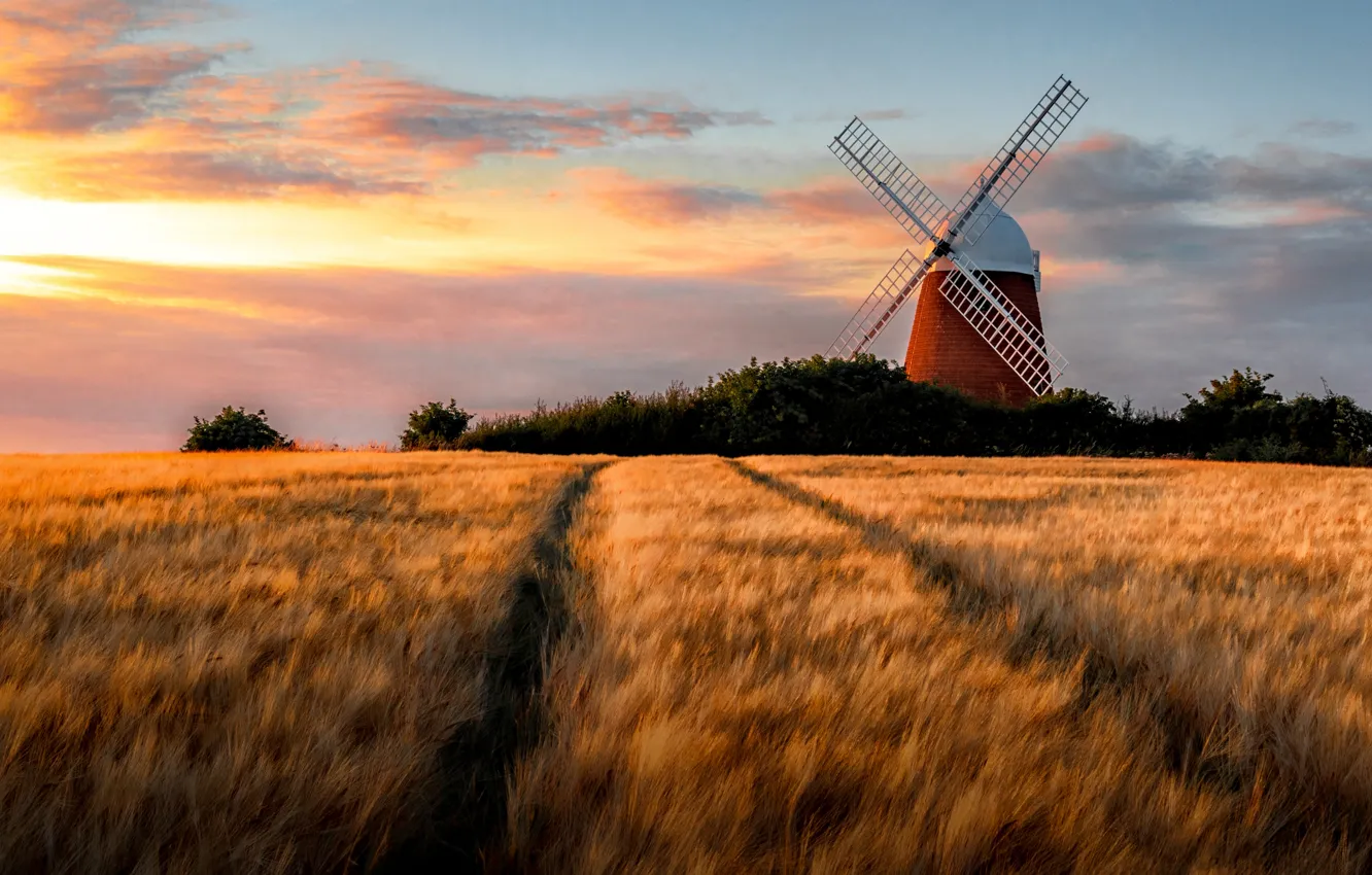 Photo wallpaper light, windmill, the sky, track, mill, field, rye, wind
