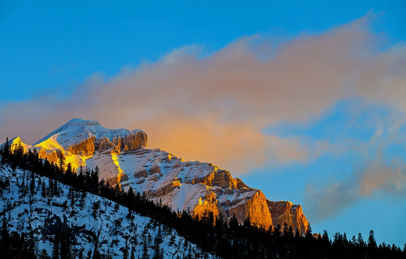 Photo wallpaper winter, the sky, snow, trees, sunset, rock, mountain, slope