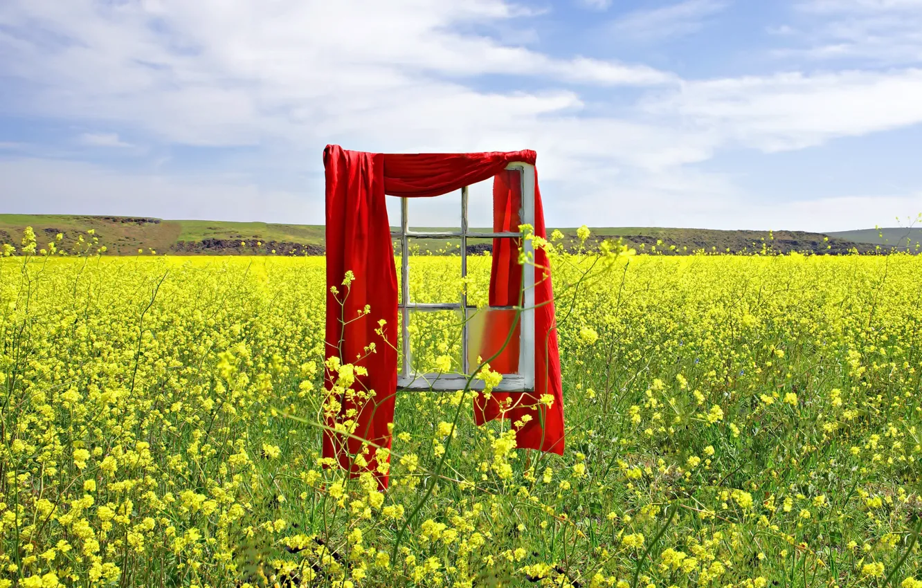 Photo wallpaper summer, window, rape