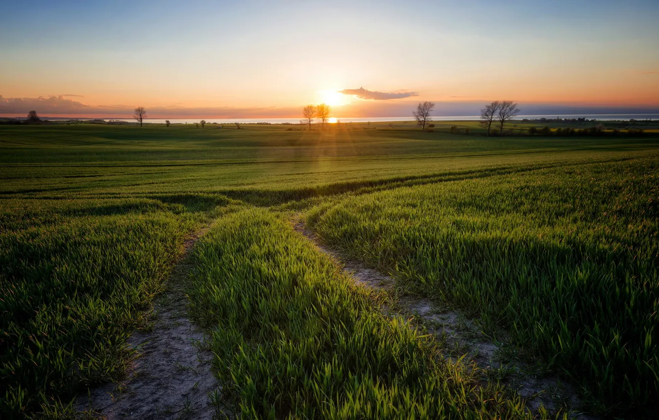 Photo wallpaper road, field, morning