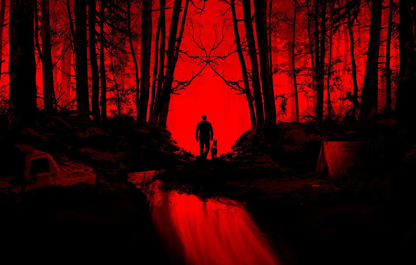 Photo wallpaper forest, red, black, shadow, Blair witch