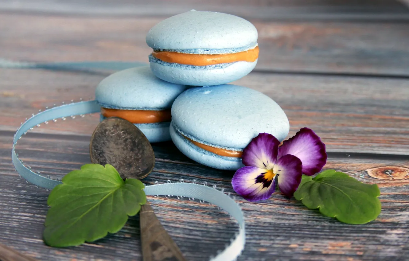 Photo wallpaper flowers, tape, cake, viola, macaroon