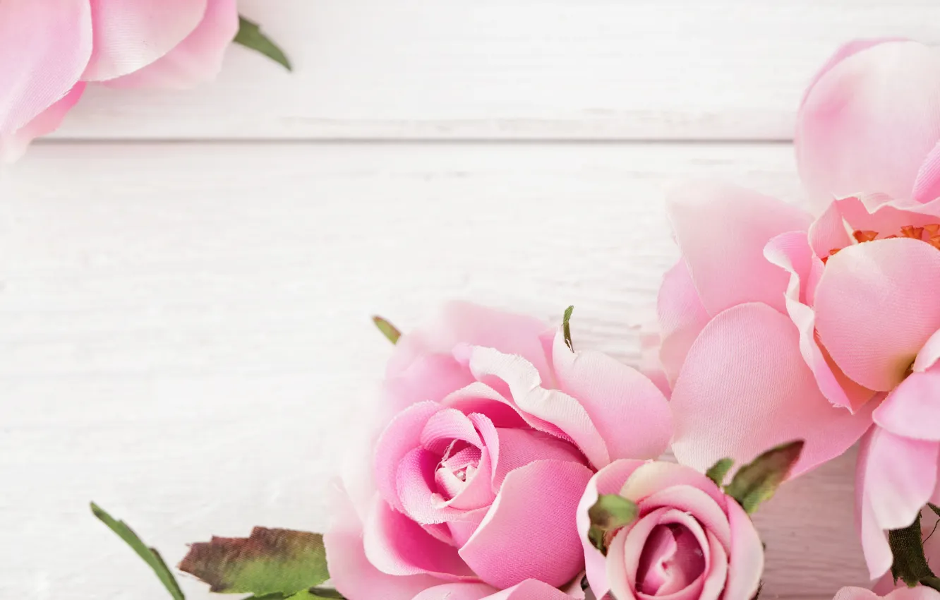 Photo wallpaper roses, pink, flowers, roses