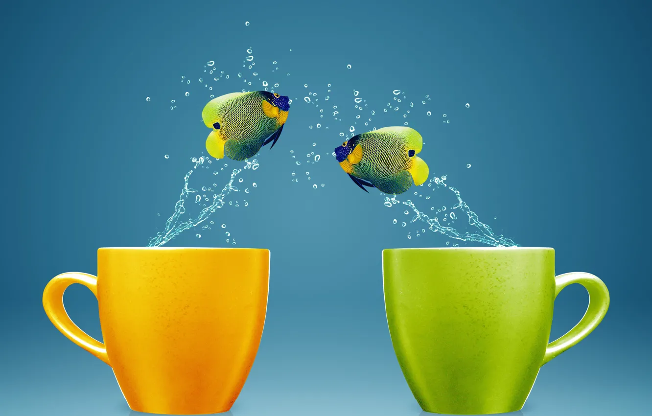 Photo wallpaper water, fish, splash, mug