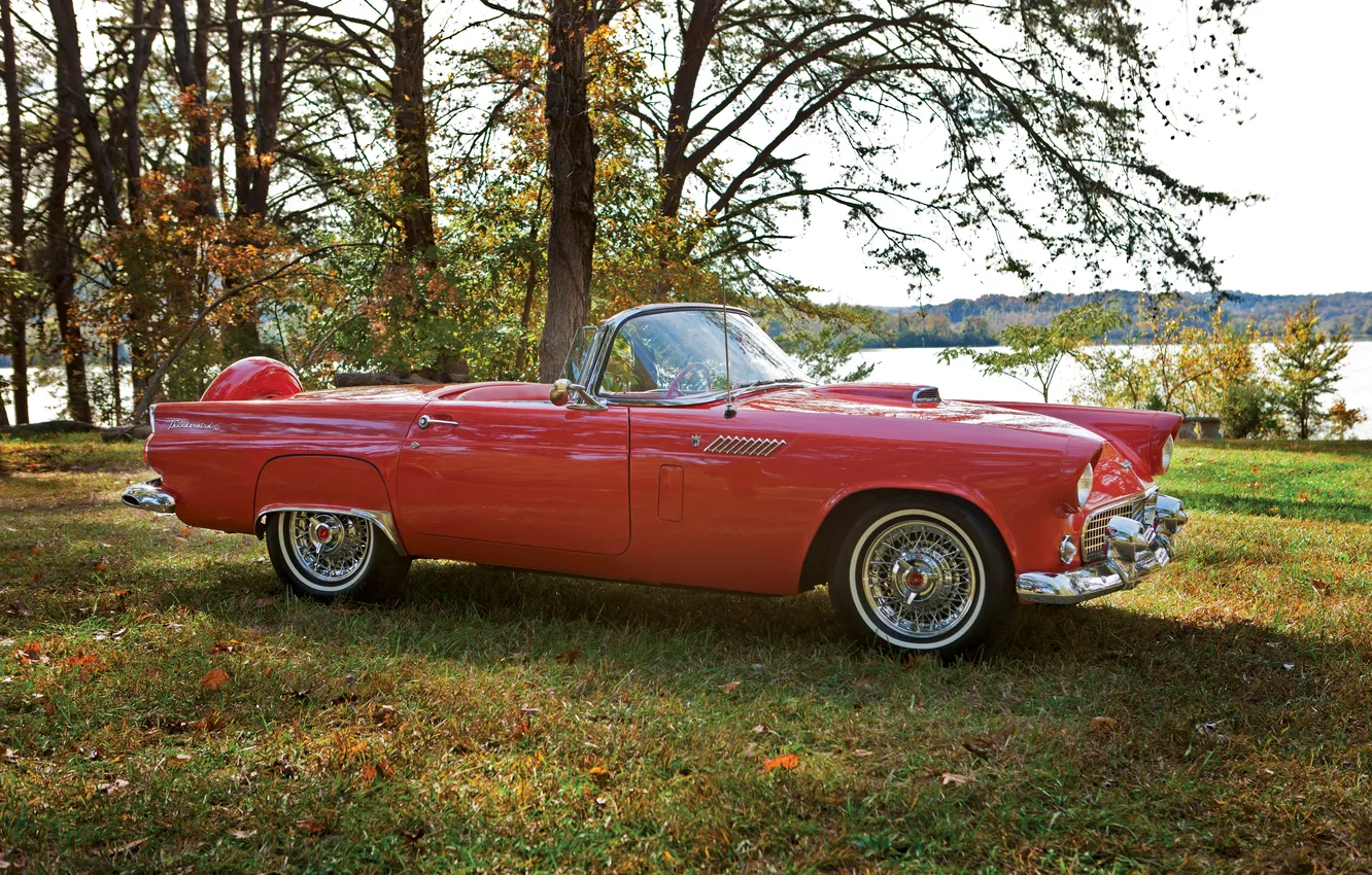 Photo wallpaper Ford, Ford, 1965, retro cars, Thunderbird, Retro Cars, Ford Thunderbird Convertible