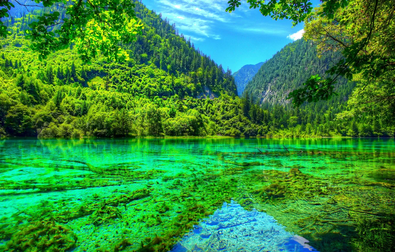 Photo wallpaper forest, summer, the sky, trees, mountains, lake