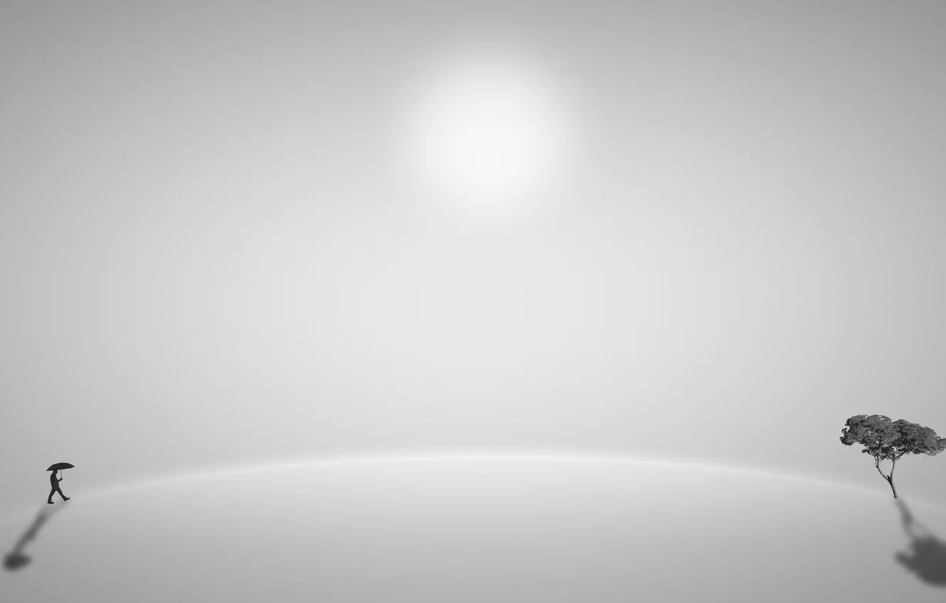 Photo wallpaper trees, people, minimalism