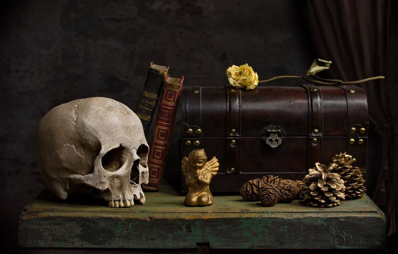 Photo wallpaper skull, roses, angel, book, chest, bumps