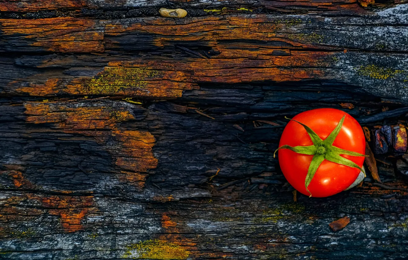 Photo wallpaper the dark background, Board, texture, vegetables, tomatoes, tomatoes