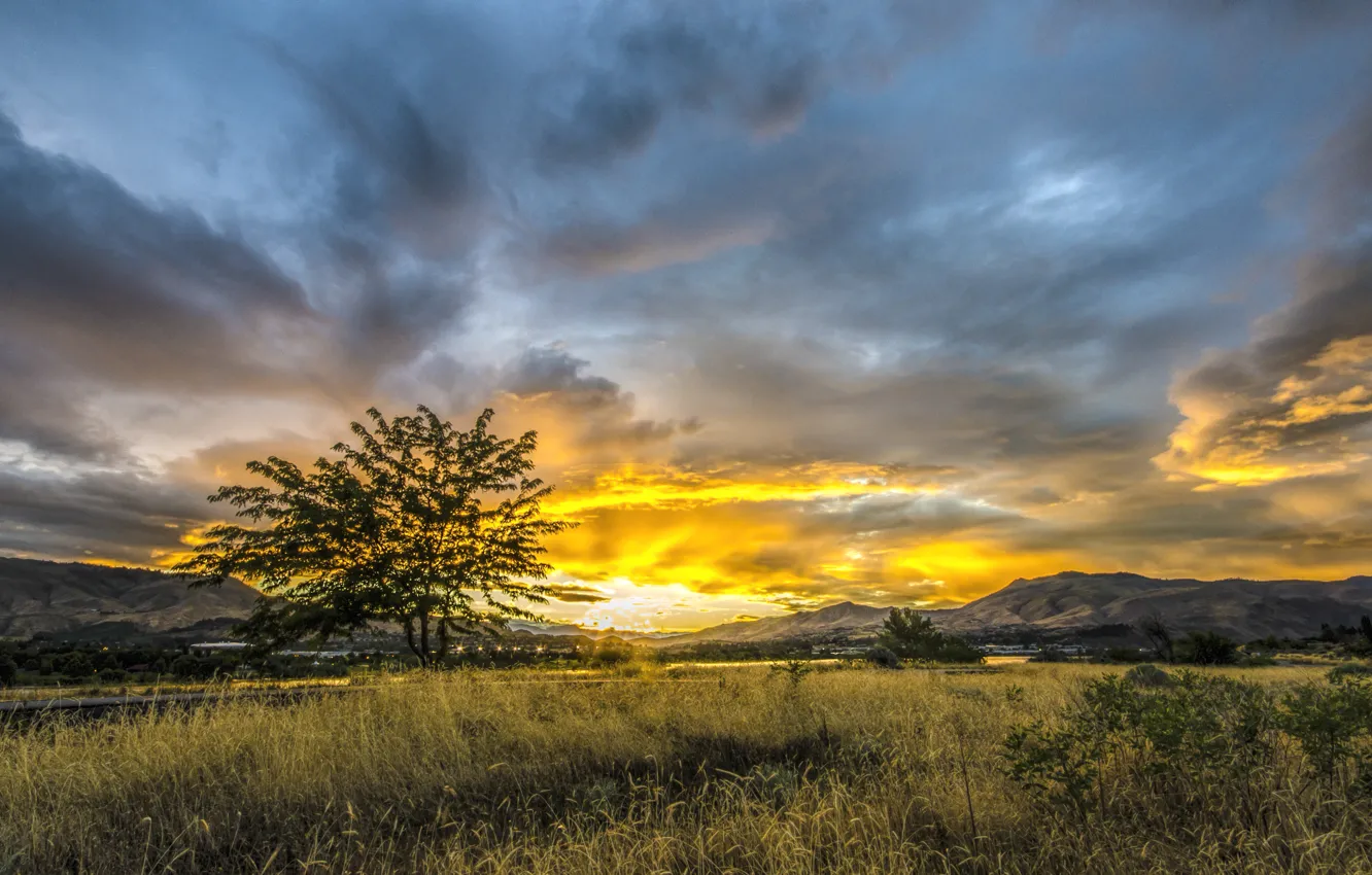 Photo wallpaper the sky, grass, the sun, clouds, sunset, mountains, the city, tree