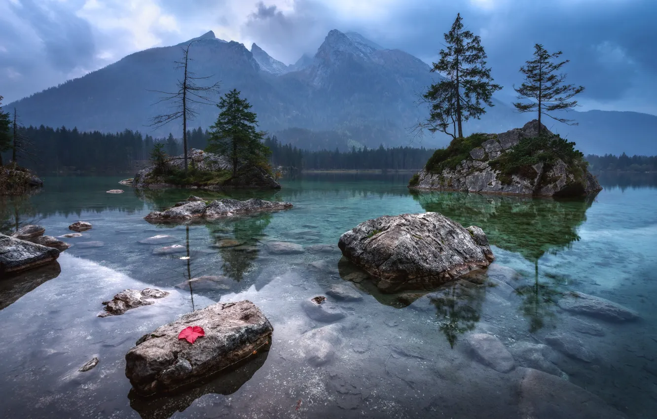 Photo wallpaper forest, water, reflection, trees, mountains, sheet, lake, stones